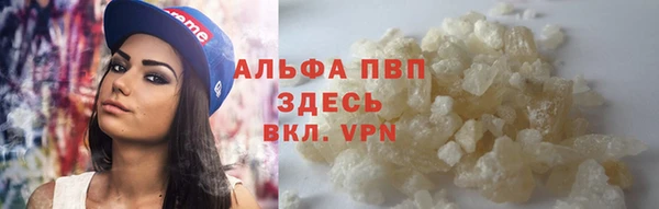 ПСИЛОЦИБИНОВЫЕ ГРИБЫ Краснослободск