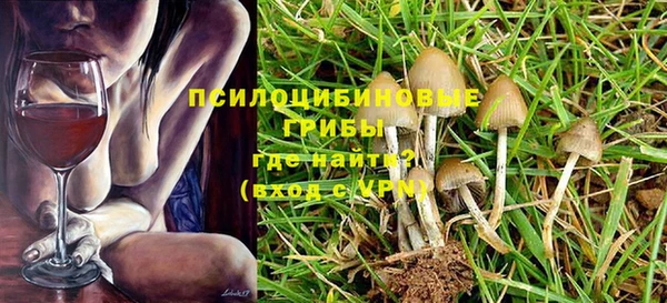 ПСИЛОЦИБИНОВЫЕ ГРИБЫ Краснослободск