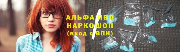 ПСИЛОЦИБИНОВЫЕ ГРИБЫ Краснослободск