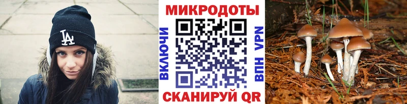 Купить  Кораблино  Псилоцибиновые грибы MAGIC MUSHROOMS 